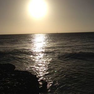 Meet your Posher, Gloria